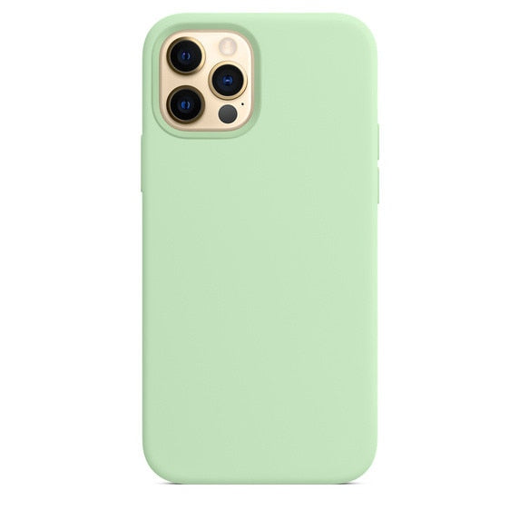 Coque IPhone  11 Pro Max Pistachio